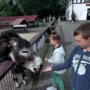 Prvňáci na Bernardu