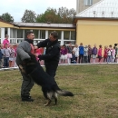 ukázka výcviku psů